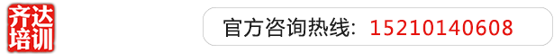 黄片逼视频齐达艺考文化课-艺术生文化课,艺术类文化课,艺考生文化课logo